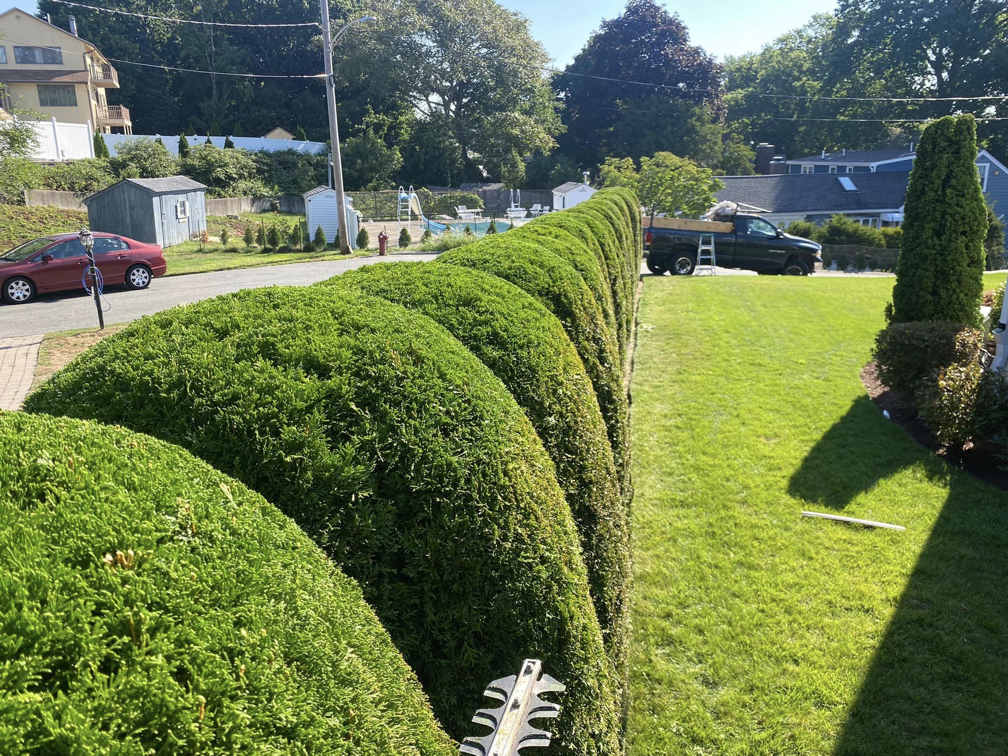 pic 3